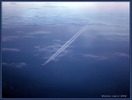 бесплатно трахаться