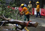 Тайфун Висент ударил по Гонконгу, 24 июля 2012 года