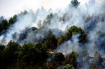 Лесные пожары в Каталонии