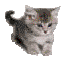  (64x64, 9Kb)