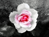  (160x120, 16Kb)