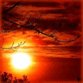 (120x120, 12Kb)