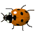  (50x50, 1Kb)