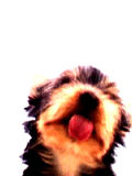 18260323_image005 (120x160, 35Kb)