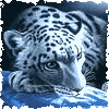  (100x100, 23Kb)