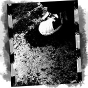 av-2 (180x180, 11Kb)