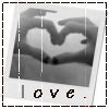  (100x100, 14Kb)