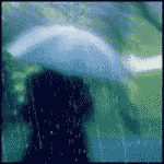13793419_7654133_673382_587386 (150x150, 19Kb)