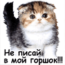  (128x128, 8Kb)
