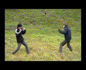  (176x144, 1708Kb)
