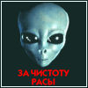  (100x100, 4Kb)