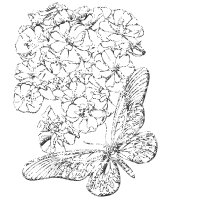 66ed6db0ff9157054070e80eda91861d (200x200, 26Kb)