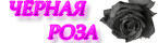  (145x40, 3Kb)