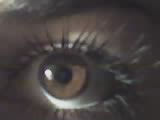 (160x120, 3Kb)