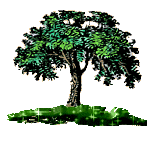  (150x150, 11Kb)