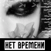  (100x100, 7Kb)