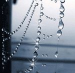 6975600_6895817_3292599_91162_34953 (150x146, 20Kb)
