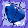  (120x120, 25Kb)
