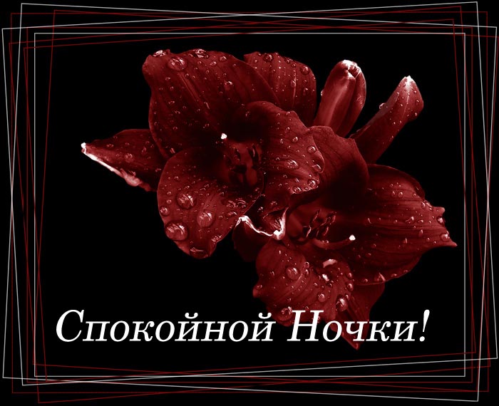 http://img1.liveinternet.ru/images/attach/b/0/16273/16273942_16010815_12604374208130516889140tf5.jpg