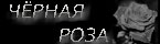  (145x40, 2Kb)