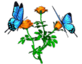  (160x126, 33Kb)