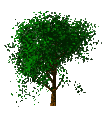  (110x116, 7Kb)
