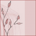  (120x120, 6Kb)