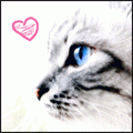 6003222_4b437dca82ed16f87101f282127d0d26 (120x120, 8Kb)