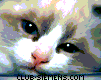  (101x80, 3Kb)