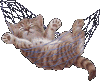  (100x82, 12Kb)