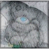  (100x100, 17Kb)