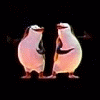  (100x100, 35Kb)