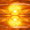  (100x100, 52Kb)