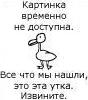  (88x100, 3Kb)