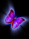  (120x160, 41Kb)