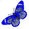 butterfly12 (100x101, 6Kb)