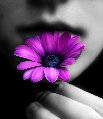  (103x119, 26Kb)