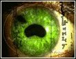  (110x85, 8Kb)