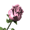  (100x100, 19Kb)