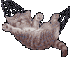  (70x57, 3Kb)