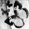  (101x100, 5Kb)
