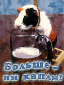 (132x176, 12Kb)