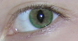  (156x83, 28Kb)