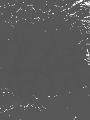  (132x176, 50Kb)