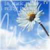  (100x100, 7Kb)