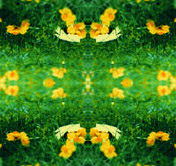  (176x166, 59Kb)
