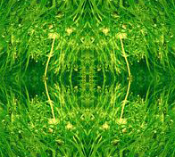  (196x176, 99Kb)