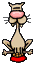  (35x64, 2Kb)