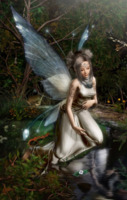  (127x200, 12Kb)