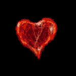  (150x150, 19Kb)
